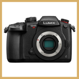 Panasonic GH5s